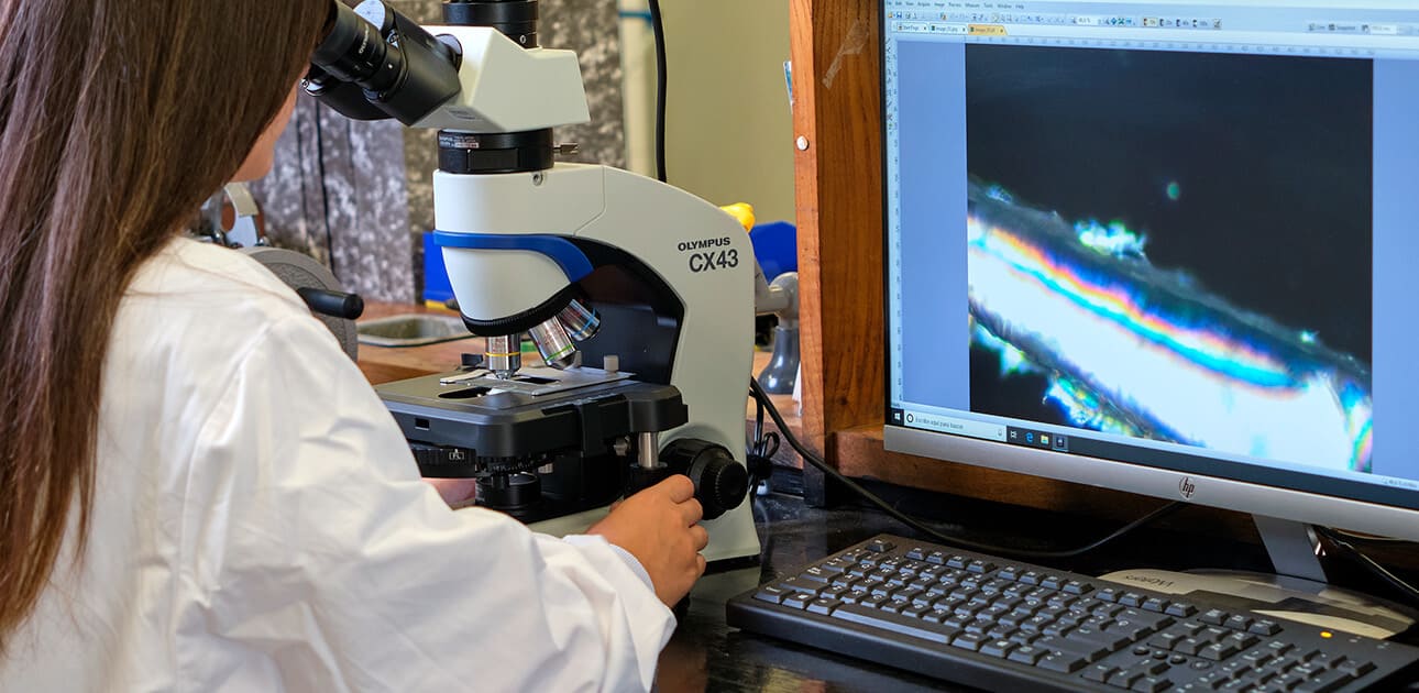 Servicios USC FoodChemPack Santiago 2